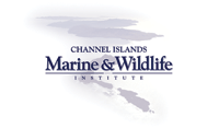 Channel Island Marine Wildlife